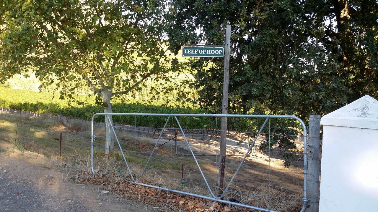 Sonklip Ξενοδοχείο Στέλενμπος Εξωτερικό φωτογραφία
